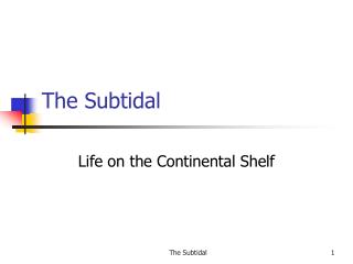 The Subtidal
