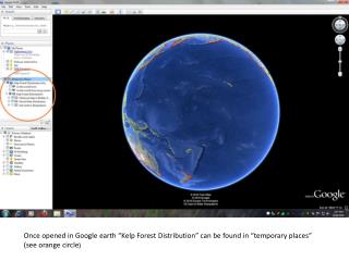 Once opened in Google earth “Kelp Forest Distribution” can be found in “temporary places”