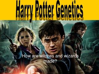 How are witches and wizards made?