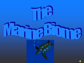 The Marine Biome