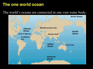 The one world ocean