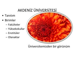 AKDENİZ ÜNİVERSİTESİ