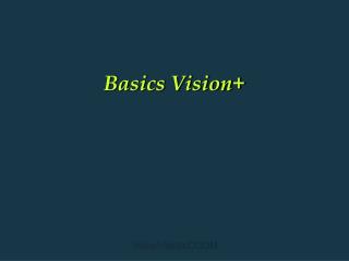 Basics Vision+