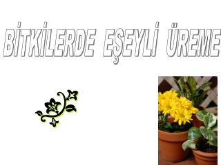 BİTKİLERDE EŞEYLİ ÜREME