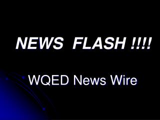 NEWS FLASH !!!! WQED News Wire