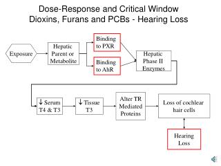 Dose-Response and Critical Window Dioxins, Furans and PCBs - Hearing Loss