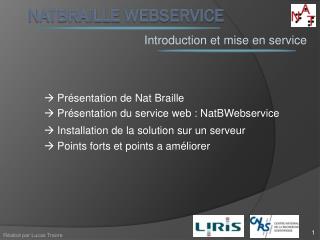 NatBraille webservice