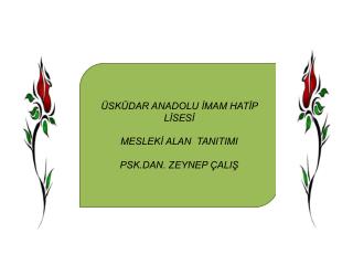 ÜSKÜDAR ANADOLU İMAM HATİP LİSESİ MESLEKİ ALAN TANITIMI PSK.DAN. ZEYNEP ÇALIŞ