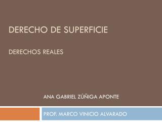 DERECHO DE SUPERFICIE Derechos reales