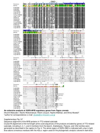 An extensive analysis of R2R3-MYB regulatory genes from Fagus crenata