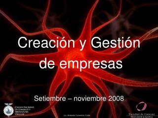 Creación y Gestión de empresas Setiembre – noviembre 2008
