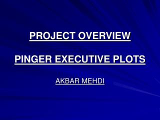 PROJECT OVERVIEW PINGER EXECUTIVE PLOTS AKBAR MEHDI