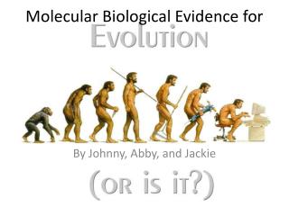 Molecular Biological Evidence for