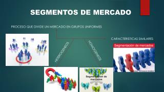 SEGMENTOS DE MERCADO