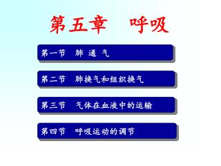 第五章 呼吸