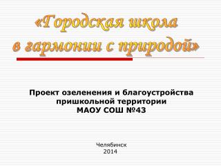 Проект озеленения и благоустройства пришкольной территории МАОУ СОШ №43