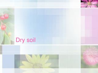 Dry soil