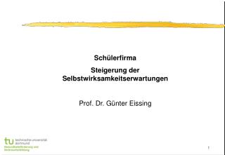 Schülerfirma Steigerung der Selbstwirksamkeitserwartungen Prof. Dr. Günter Eissing