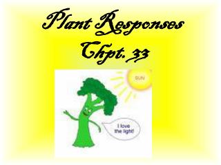 Plant Responses Chpt. 33