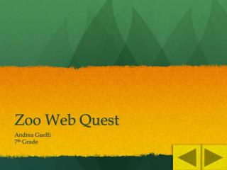 Zoo Web Quest