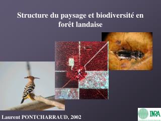 Structure du paysage et biodiversité en forêt landaise