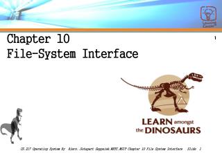 Chapter 10 File-System Interface