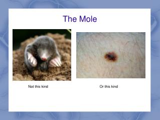 The Mole