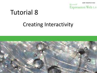 Tutorial 8