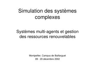 Simulation des systèmes complexes