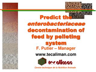 Predict the enterobacteriaceae decontamination of feed by pelleting system