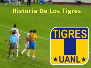 Historia De Los Tigres