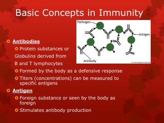Basic Concepts in Immunity