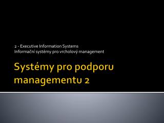 Systémy pro podporu managementu 2