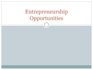 Entrepreneurship Opportunities