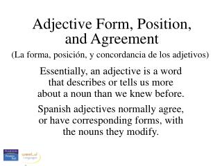 Adjective Form, Position, and Agreement