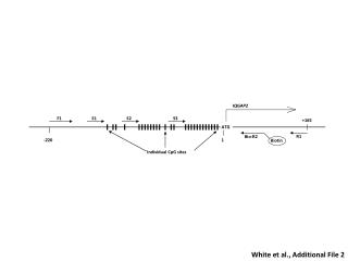 White et al., Additional File 2