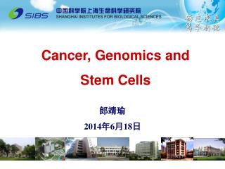 Cancer, Genomics and Stem Cells