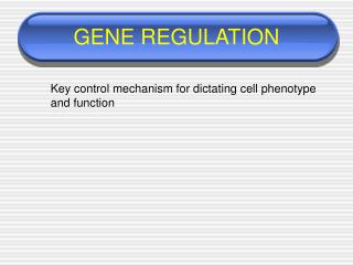 GENE REGULATION