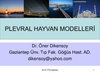 PLEVRAL HAYVAN MODELLERİ