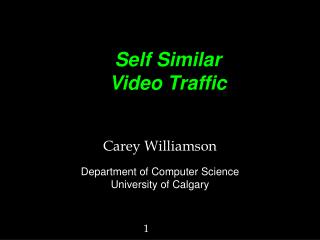 Self Similar Video Traffic