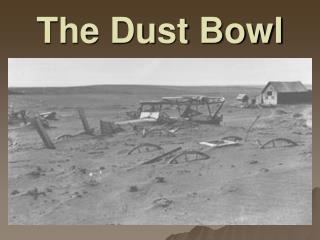 The Dust Bowl
