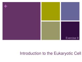 Introduction to the Eukaryotic Cell