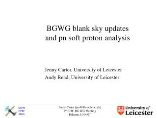 BGWG blank sky updates and pn soft proton analysis