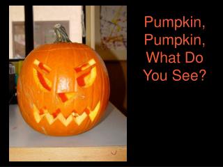 Pumpkin, Pumpkin, What Do You See?