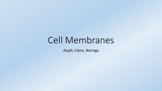 Cell Membranes