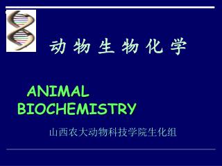 动 物 生 物 化 学