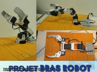 PROJET BRAS ROBOT