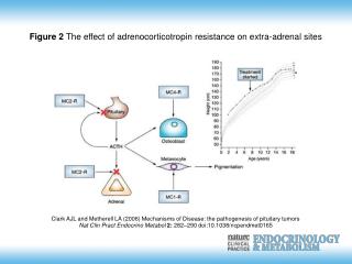 Clark AJL and Metherell LA (2006) Mechanisms of Disease: the pathogenesis of pituitary tumors