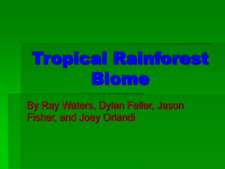 Tropical Rainforest Biome