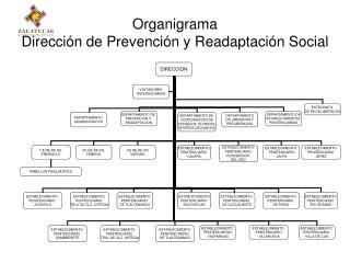 Organigrama Dirección de Prevención y Readaptación Social